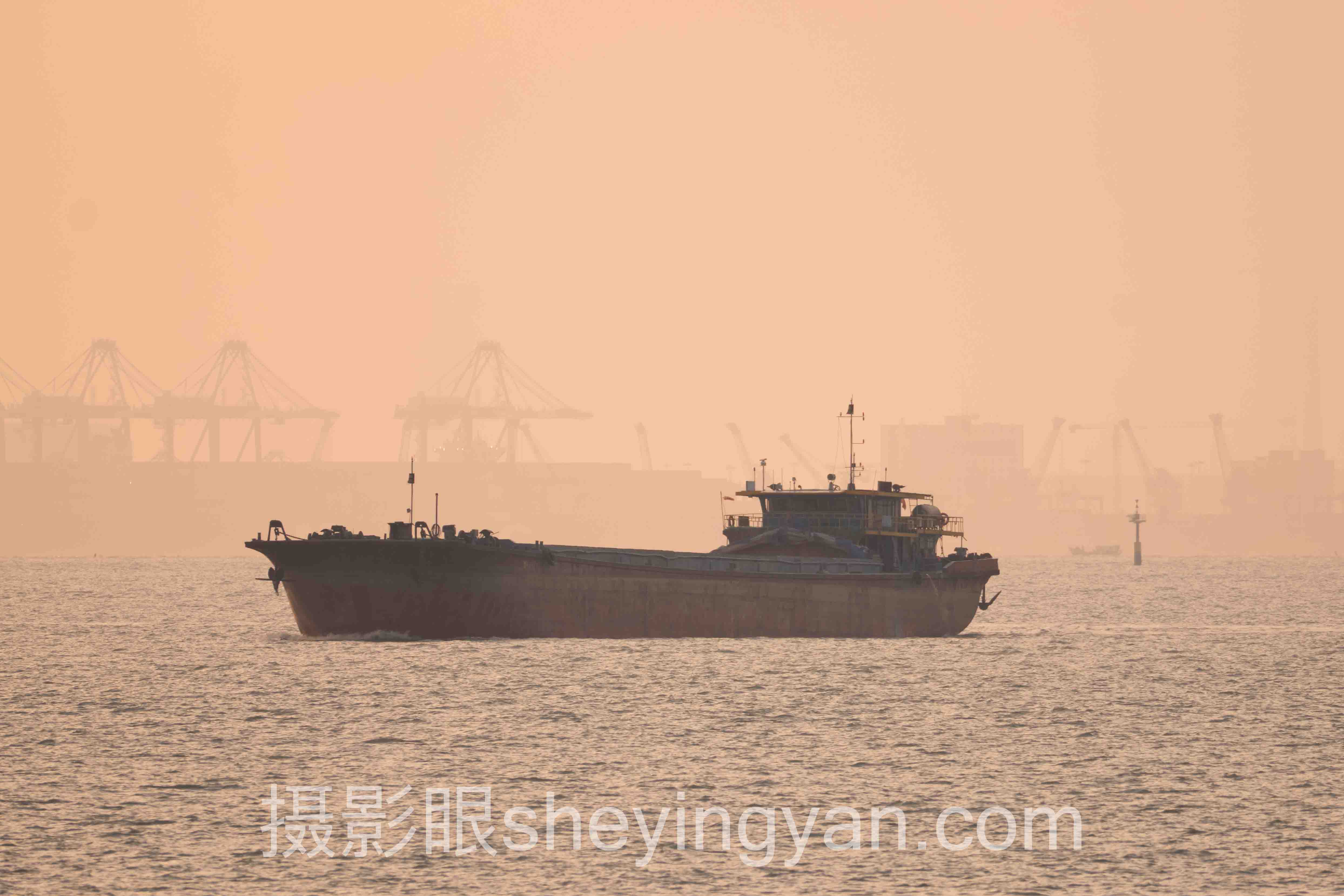 专家深度解读：摄影师入驻的机遇与挑战