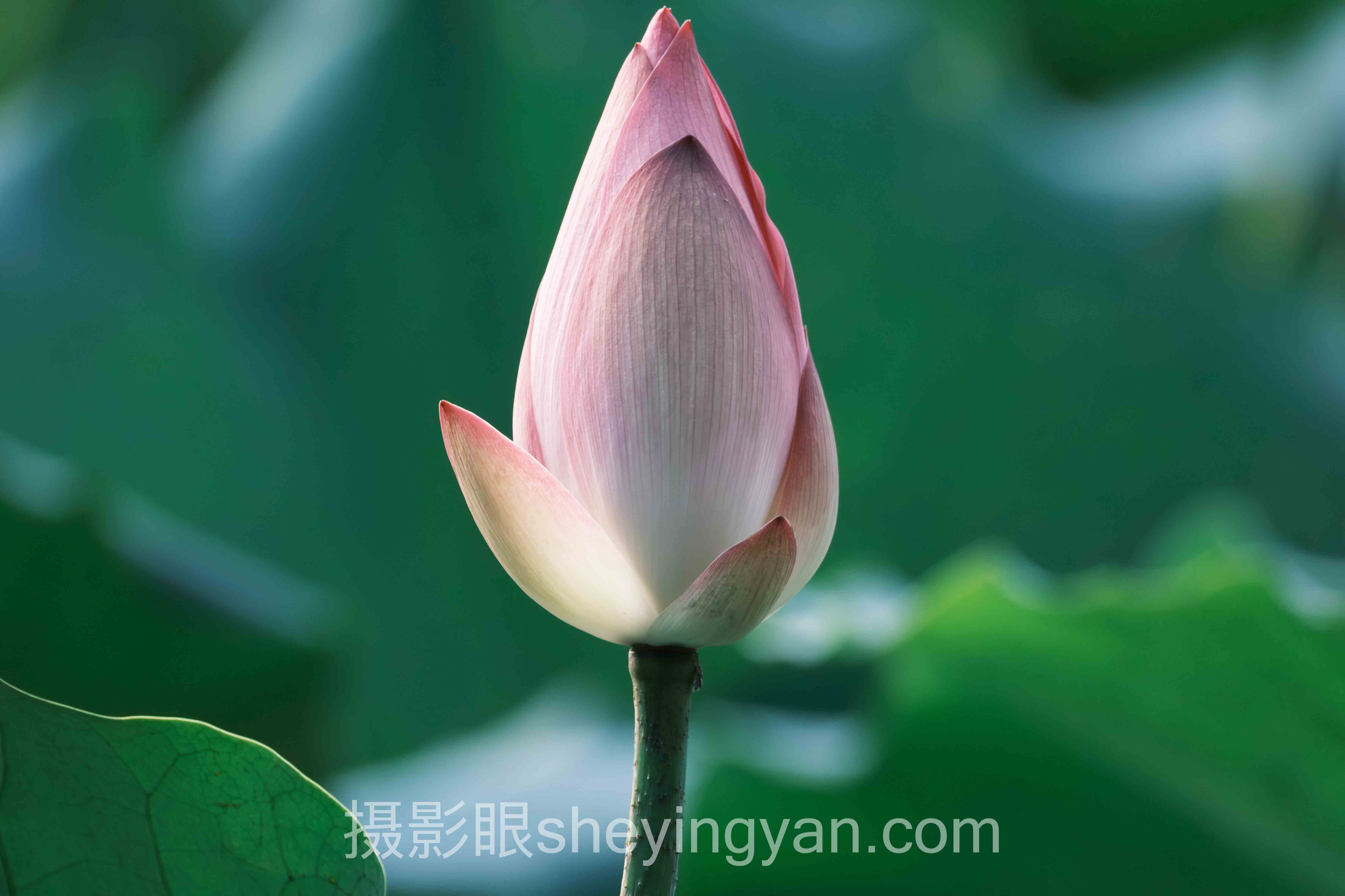 摄影眼养成十人谈：多位专家的核心观点汇总