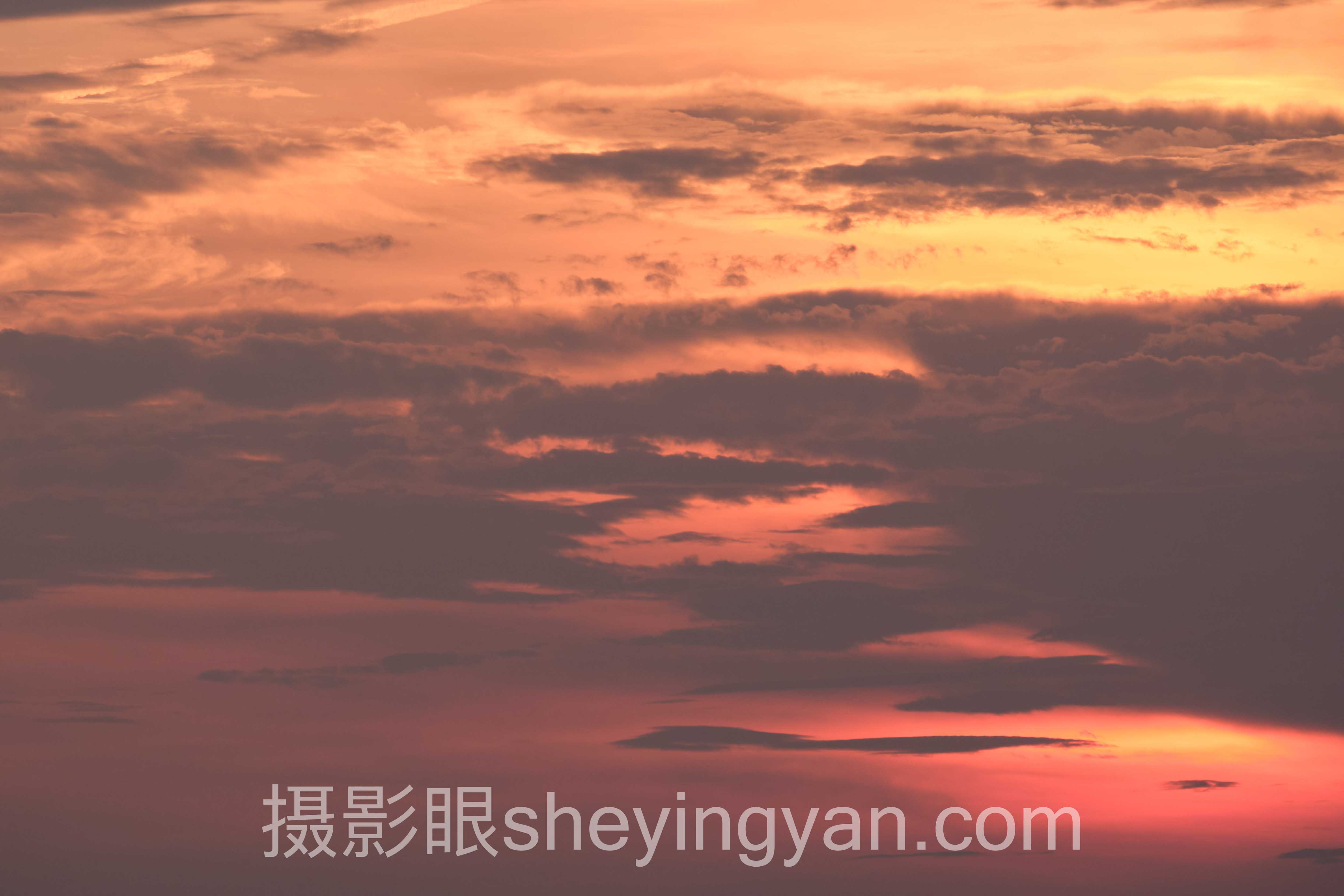 照片点评平台深度评测：5种选择全面解析