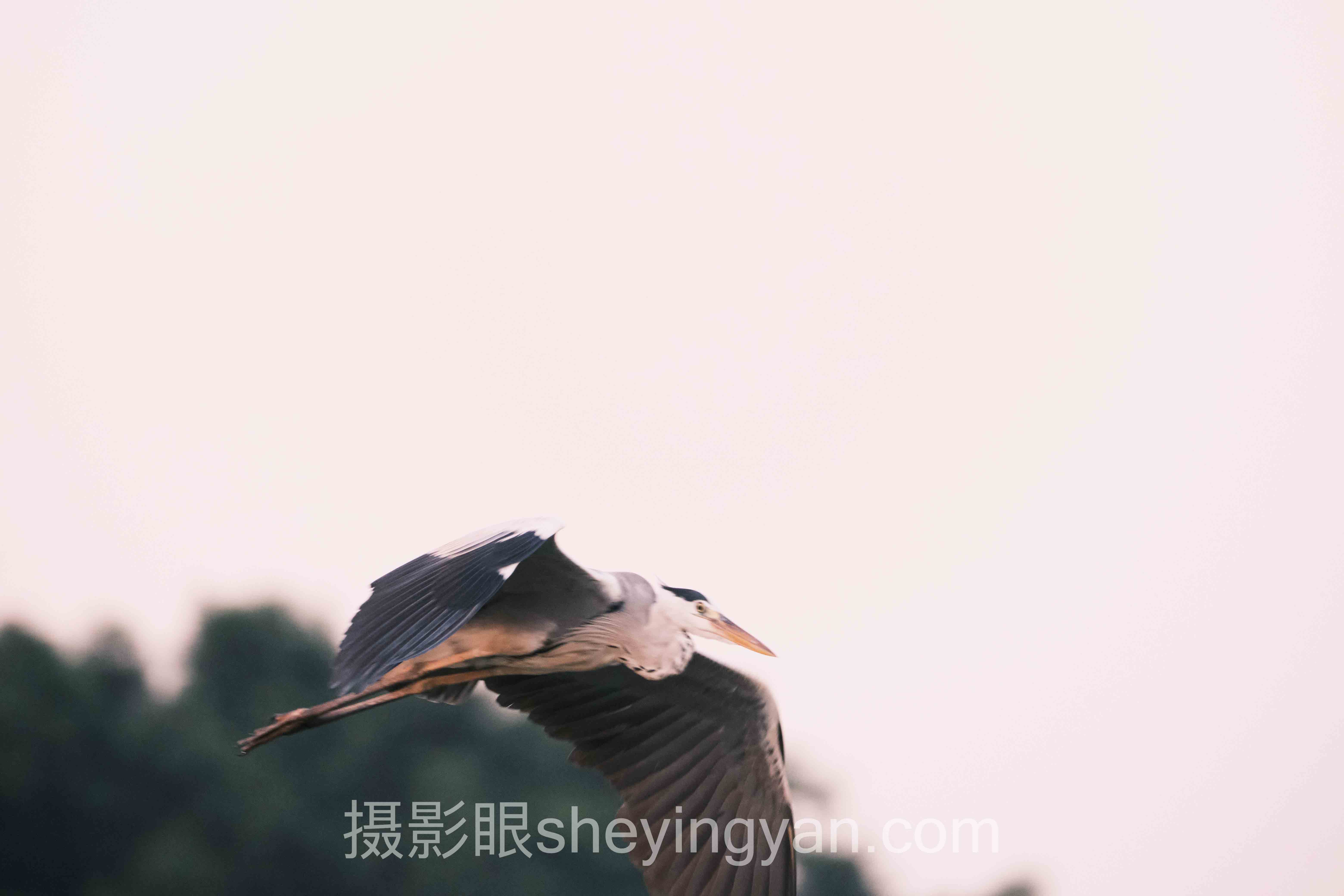 摄影进步训练方法5个关键突破，你卡在第几步？