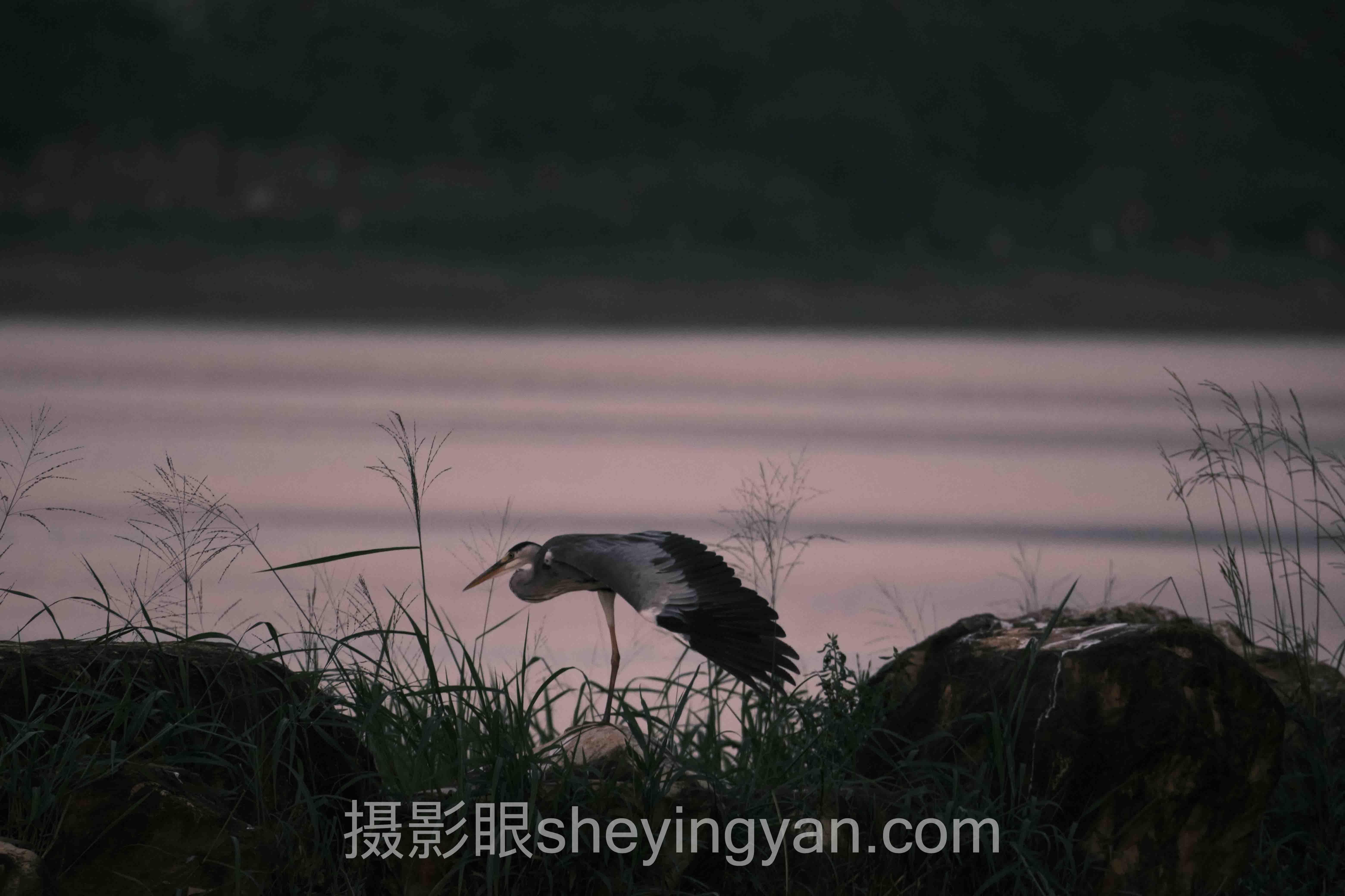 照片点评避坑指南:6个关键要点全梳理