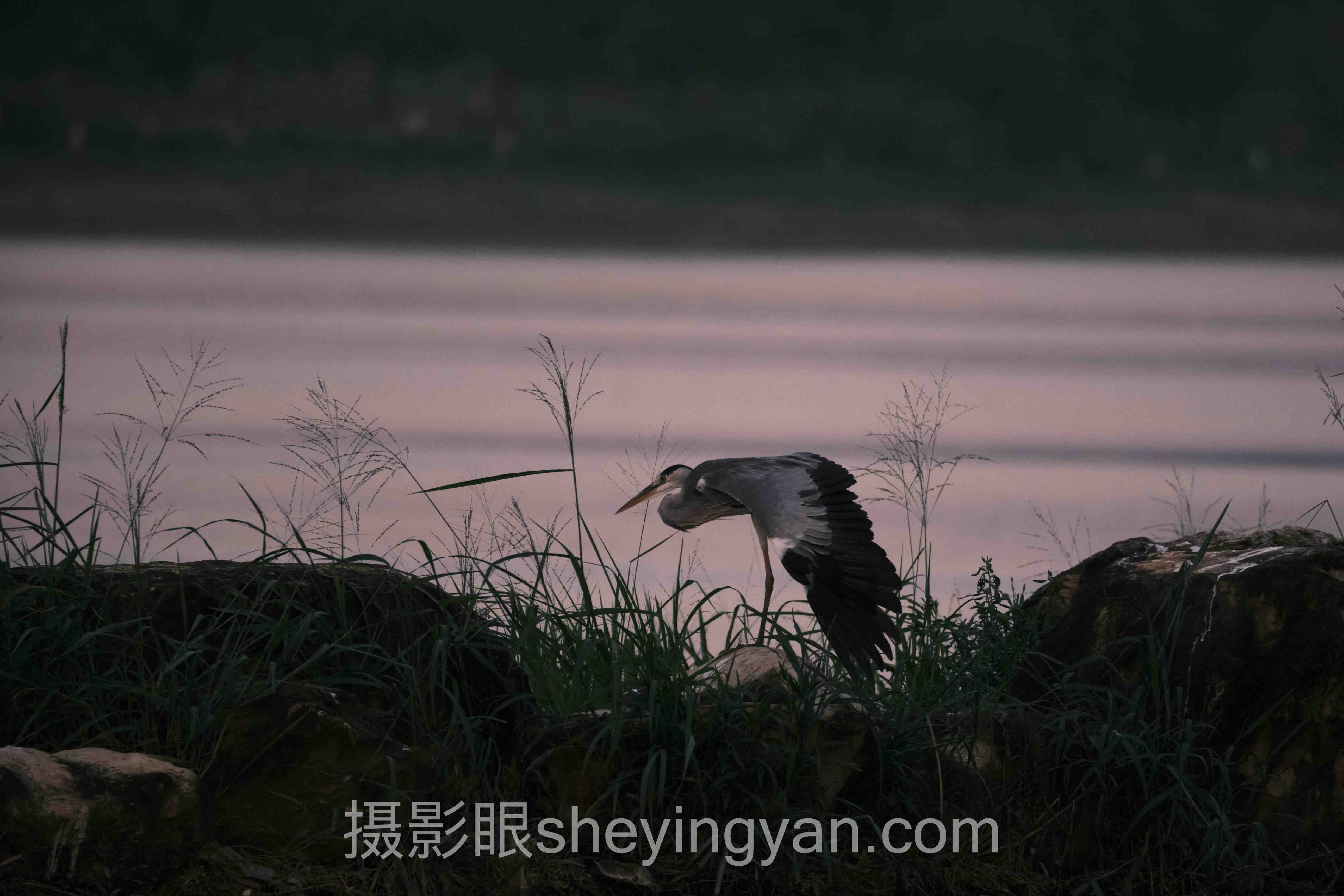 照片点评行业数据全景：6组数据揭示真相
