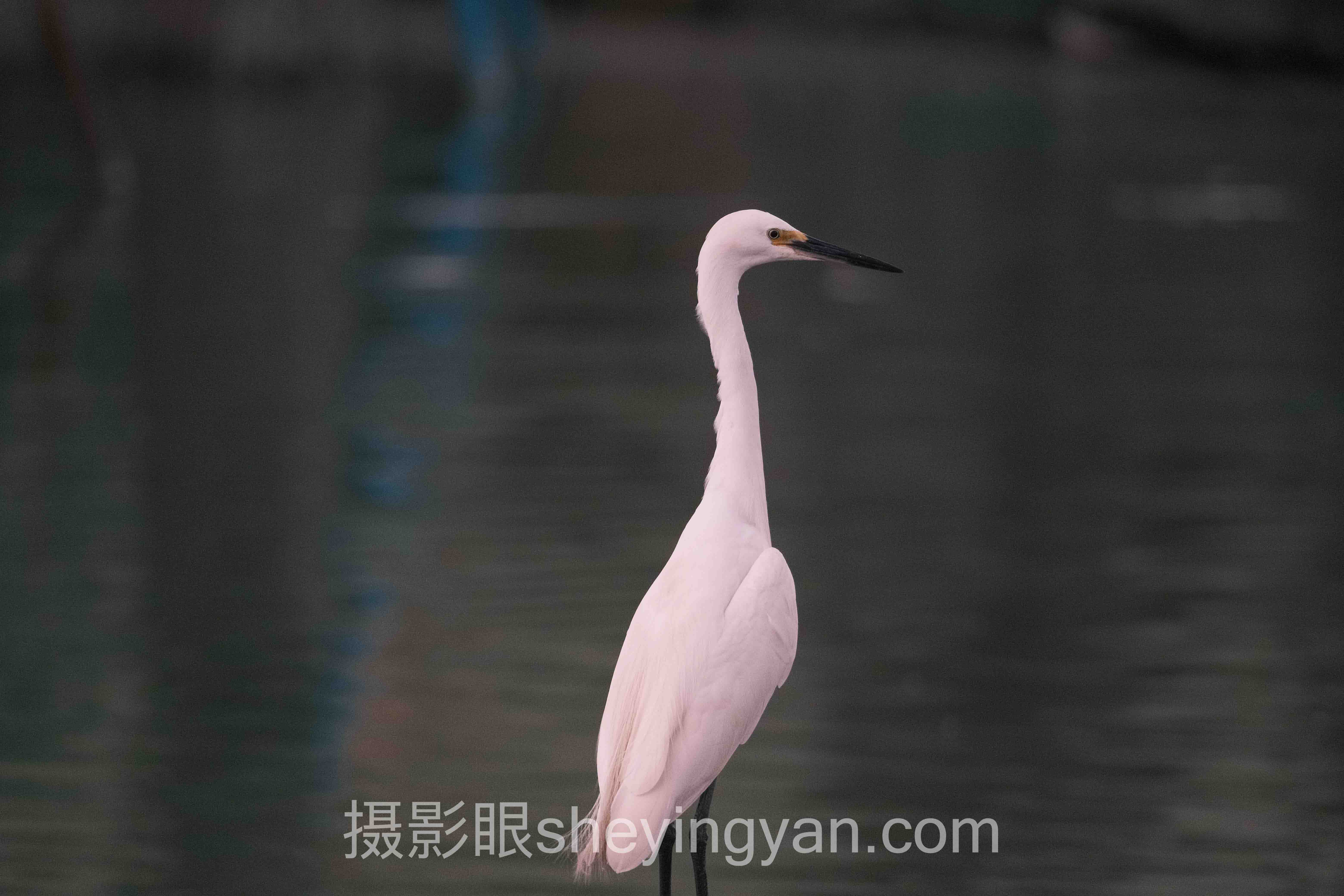 摄影眼官网怎么注册：3个关键步骤与1个隐藏坑点