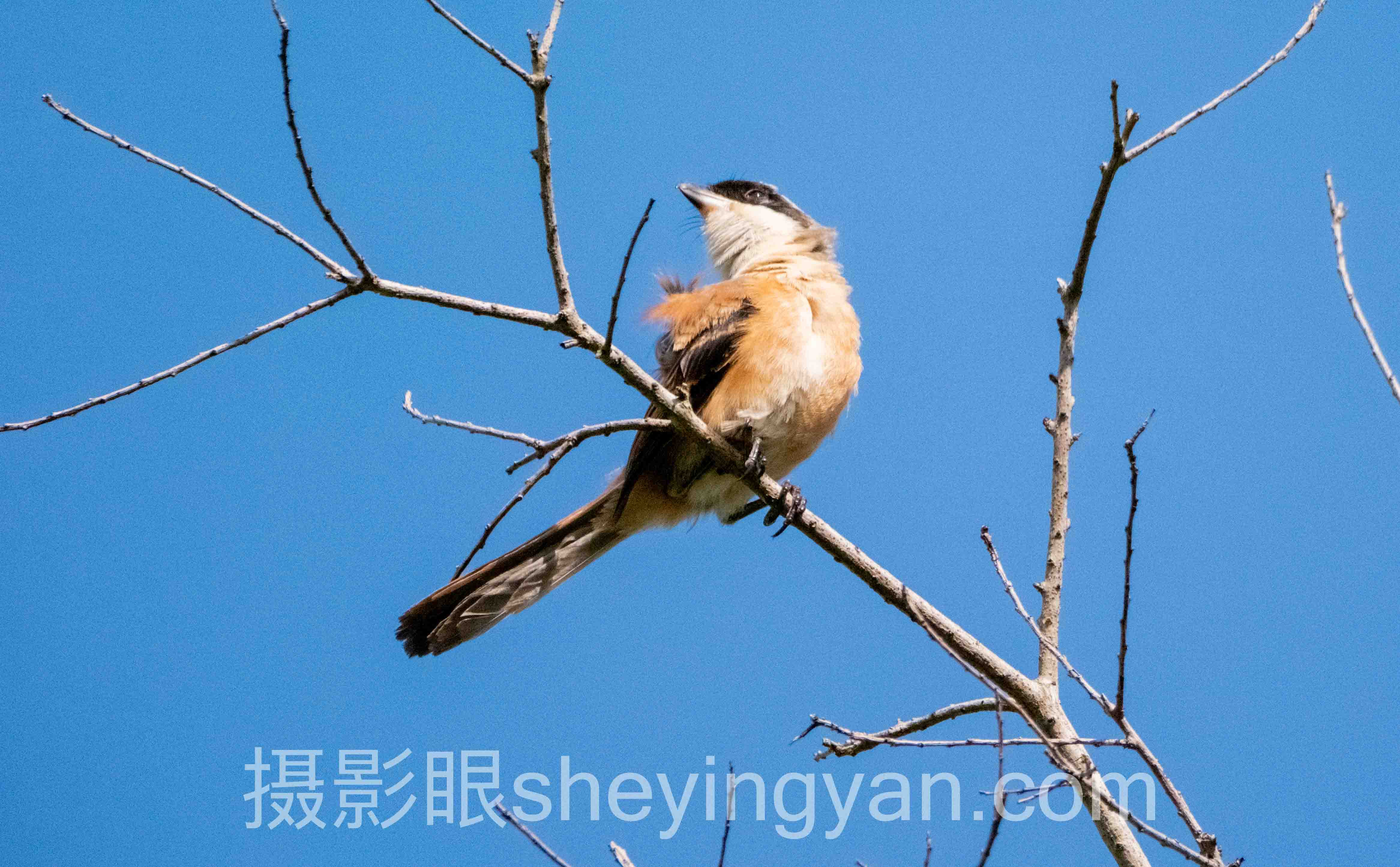 电影感摄影审美主流方案横向对比：哪个更适合你？