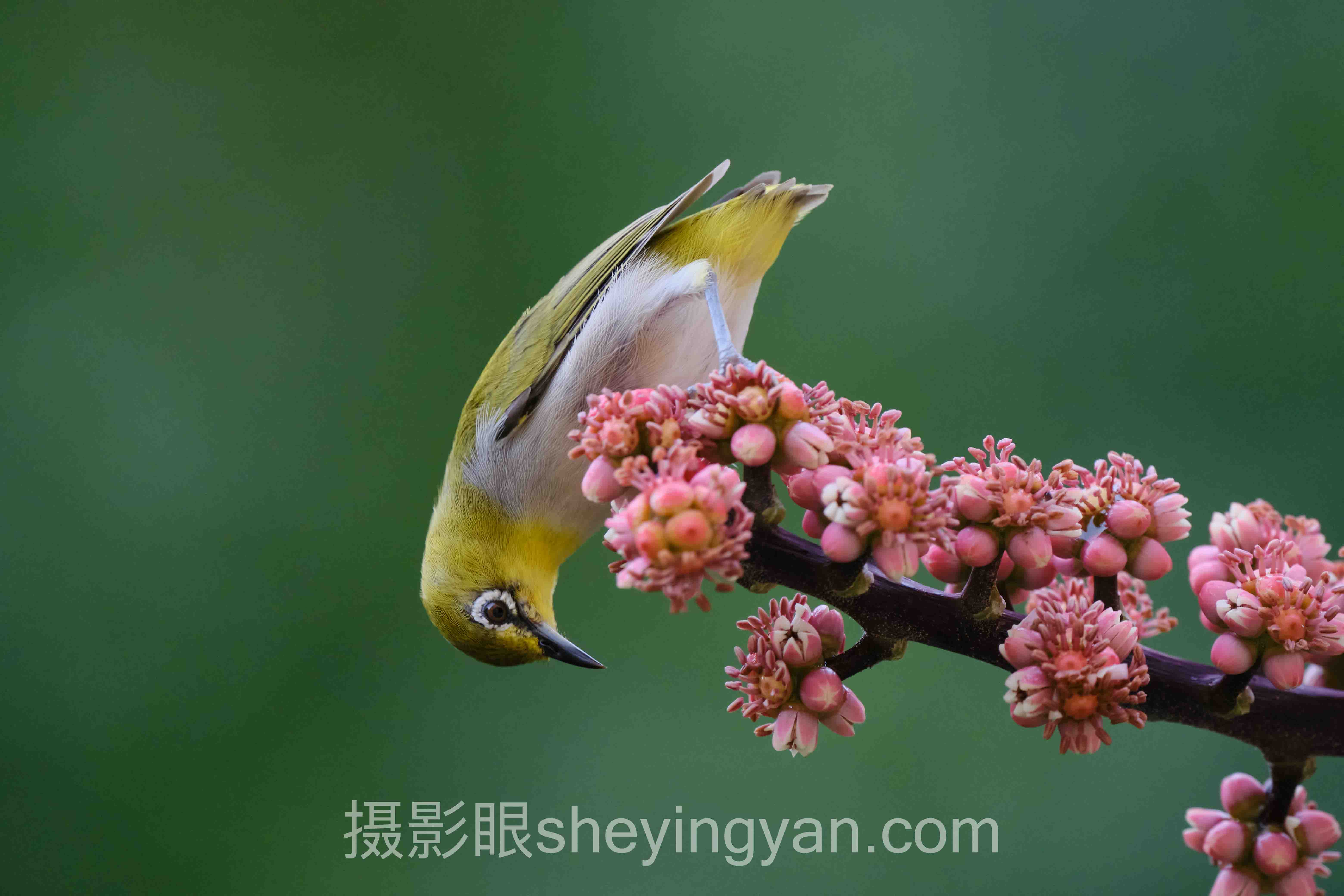 深度解析：照片7分什么标准的核心问题与答案