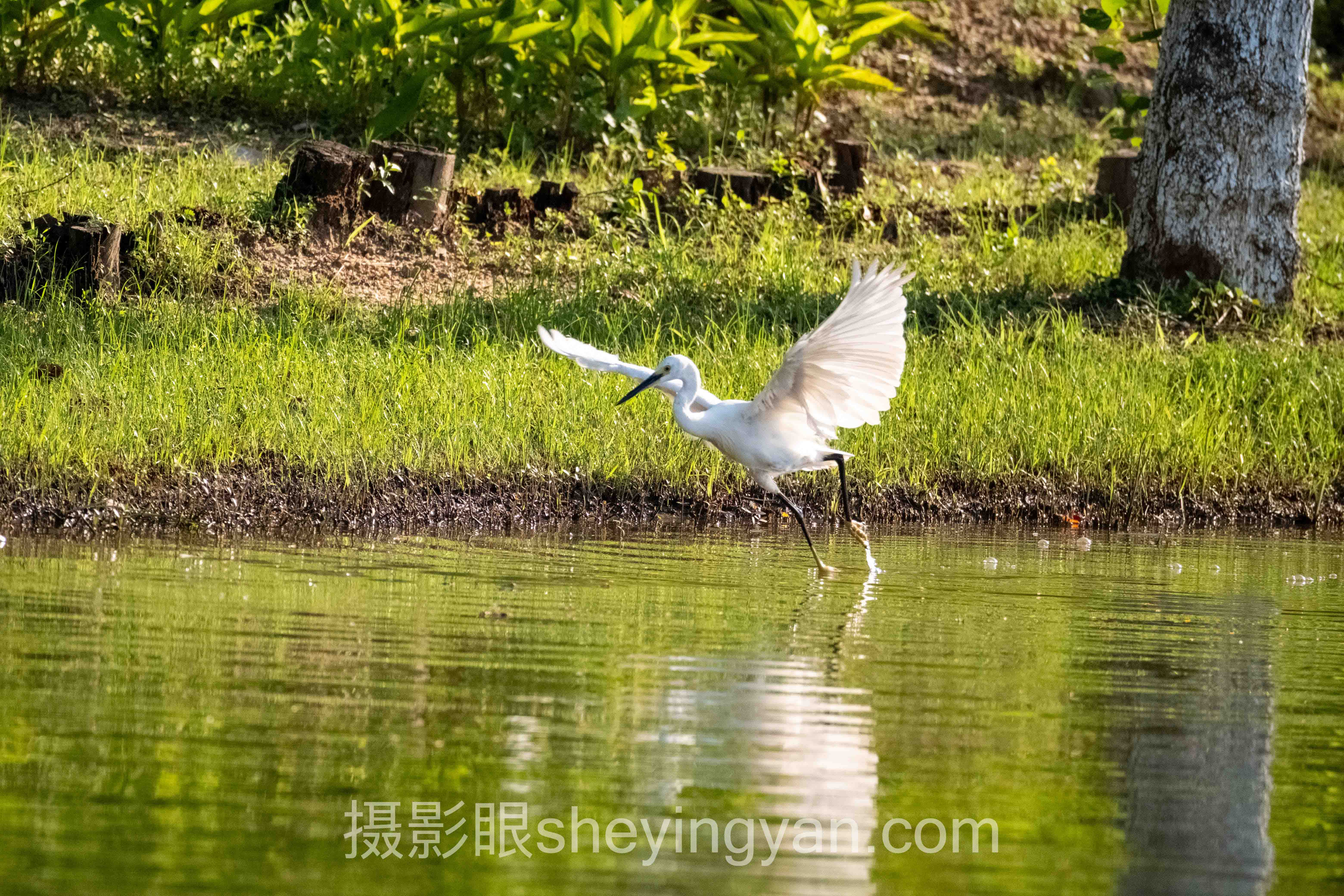 摄影眼官网怎么注册：3个关键步骤与1个隐藏坑点
